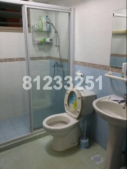 Blk 161B Punggol Central (Punggol), HDB 5 Rooms #45678262